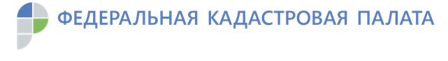 Снимок12