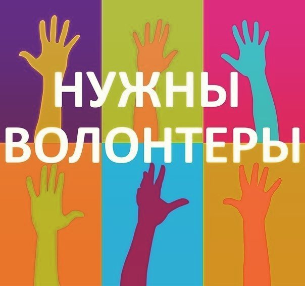 Волонтеры