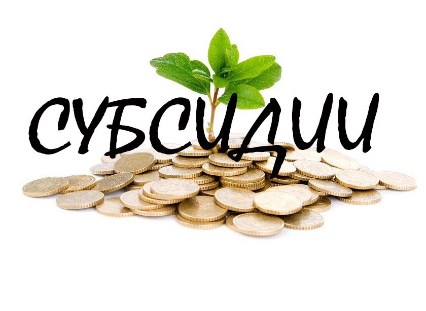 Субсидии