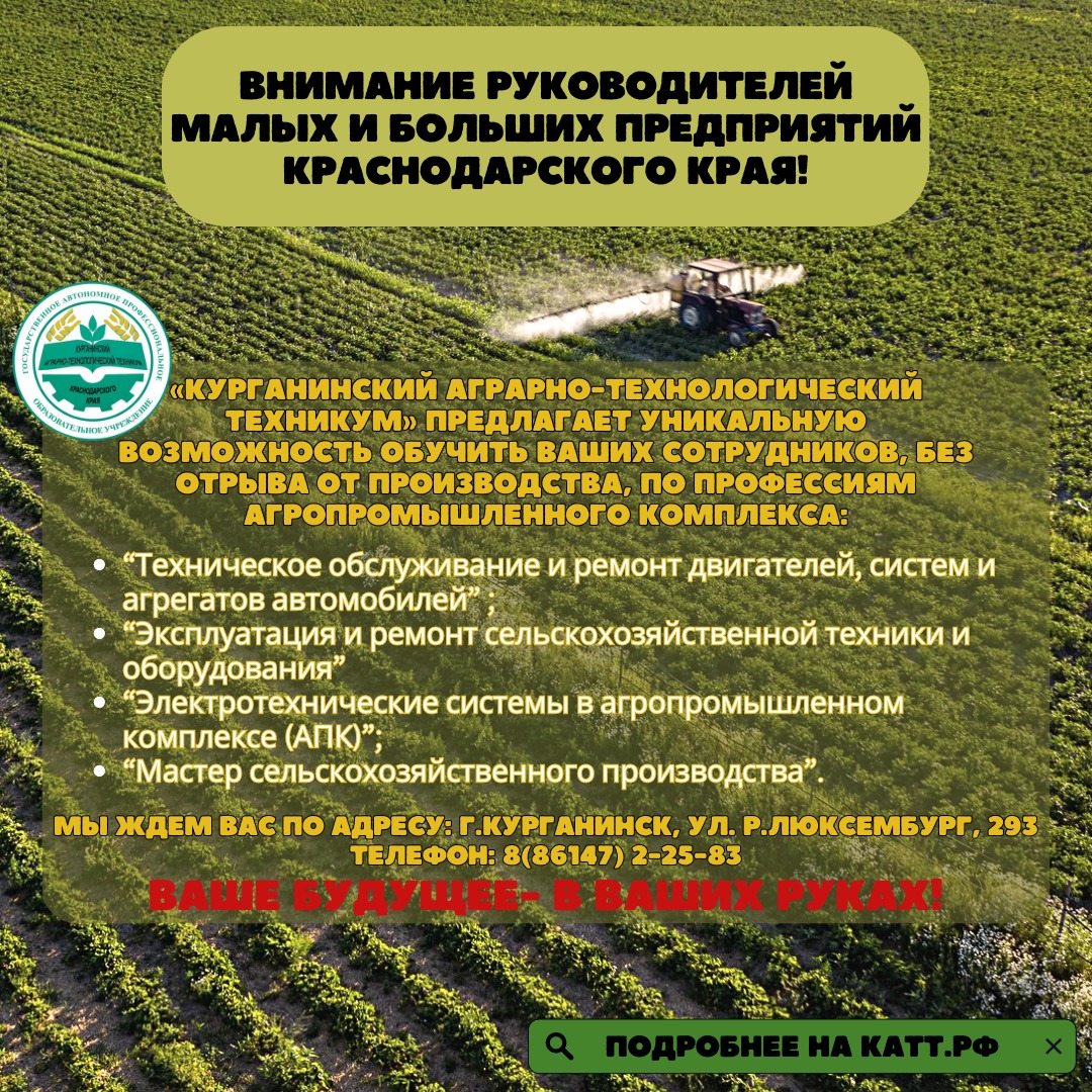 WhatsApp Image 2024-07-26 at 09.42.27