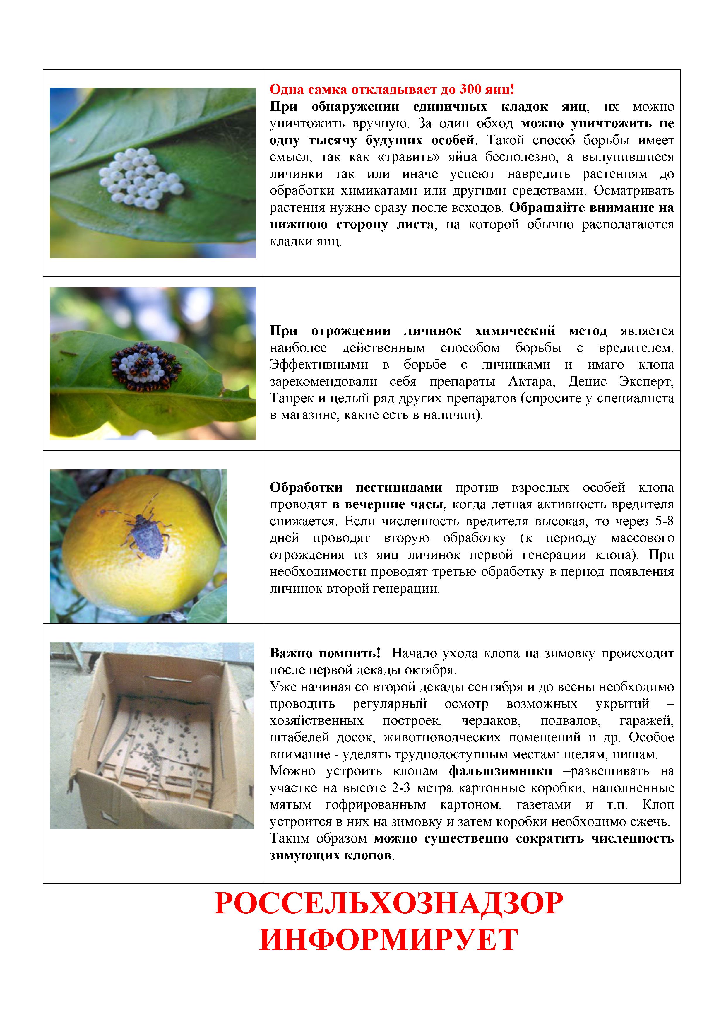Microsoft Word - ЛИСТОКА мраморный клоп 2 8 2