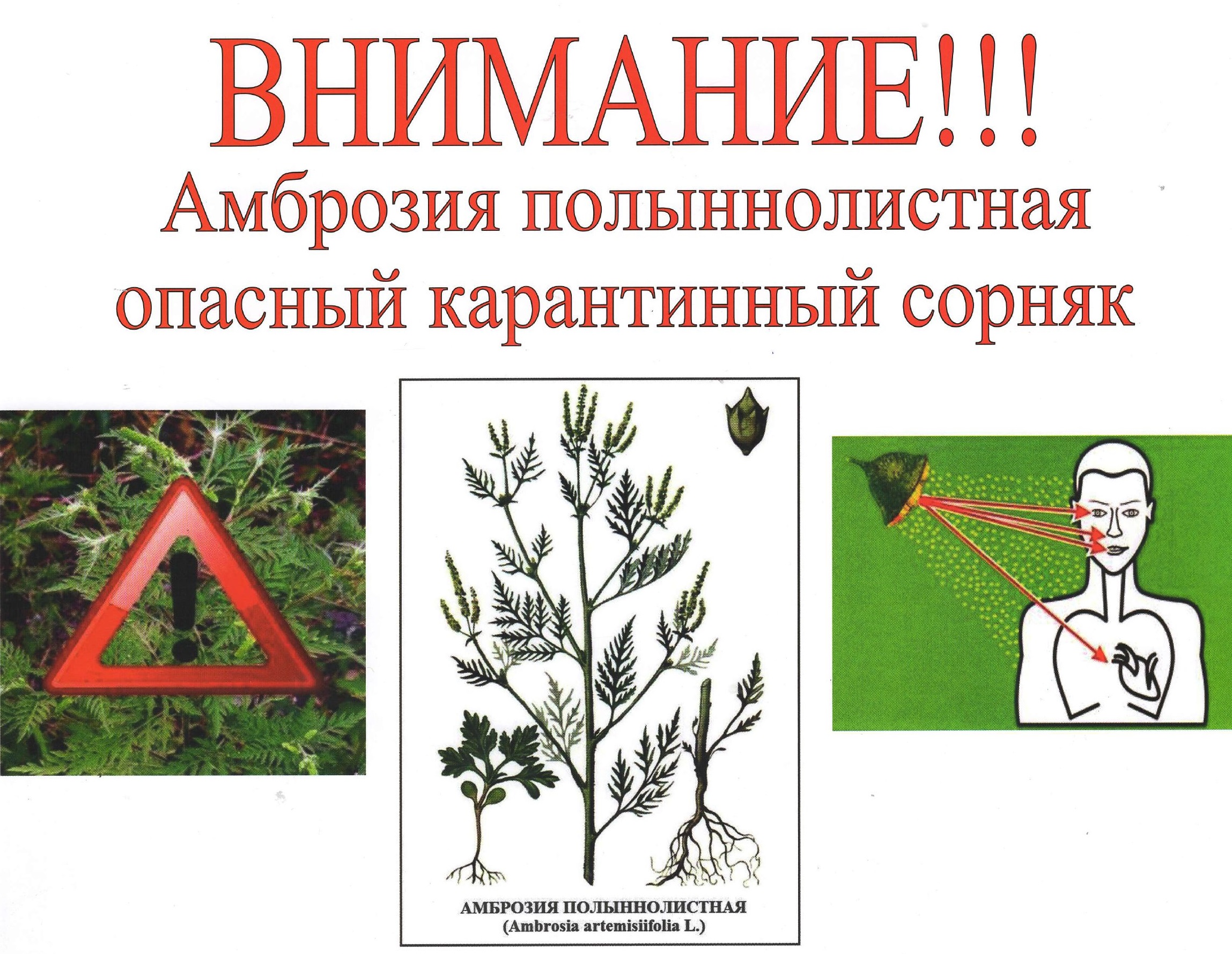 к