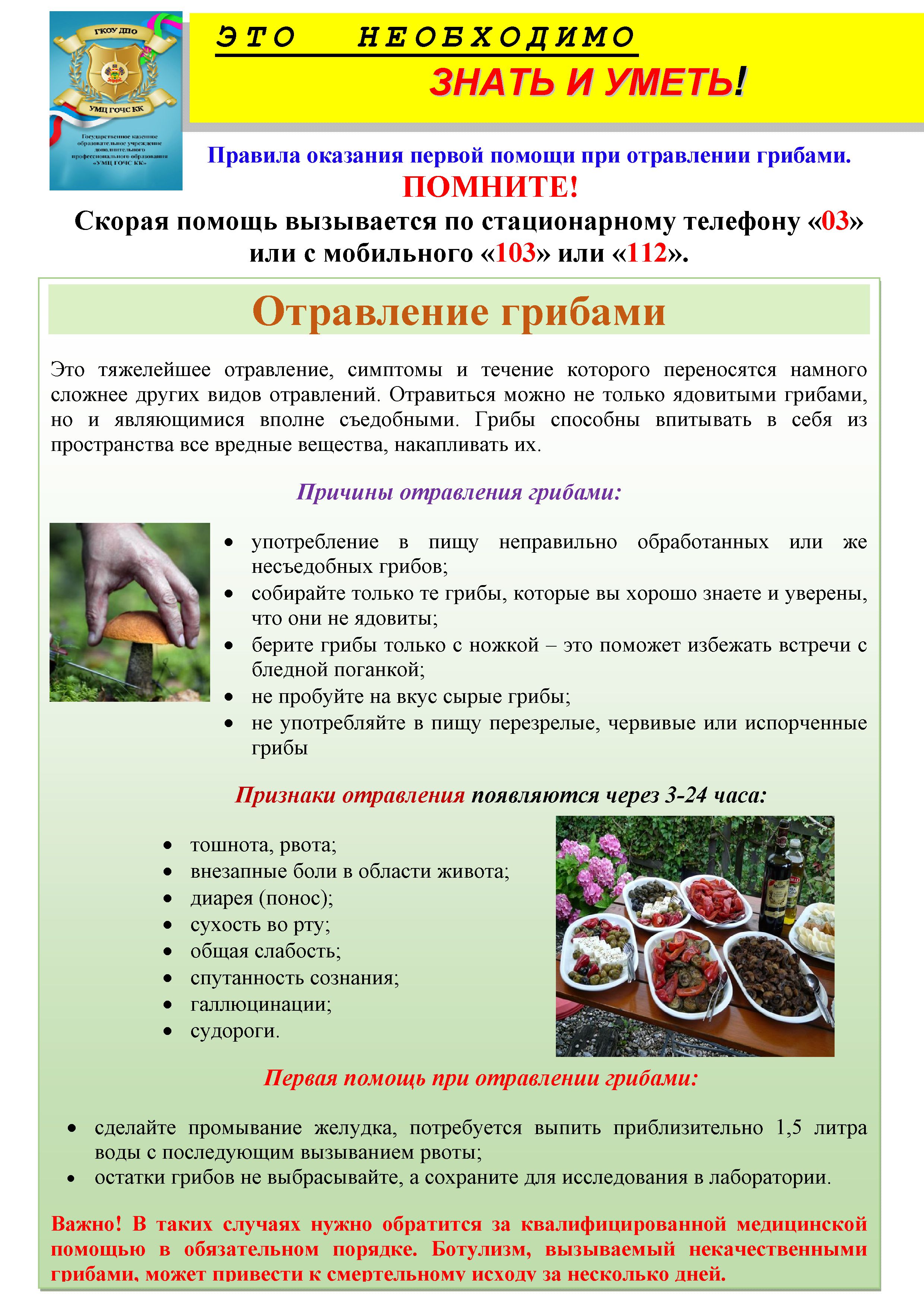 Microsoft Word При отралении грибами 2021 220