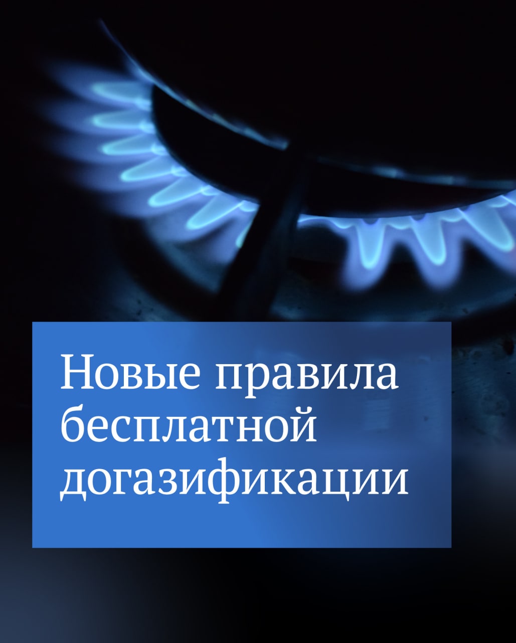 photo1670306926