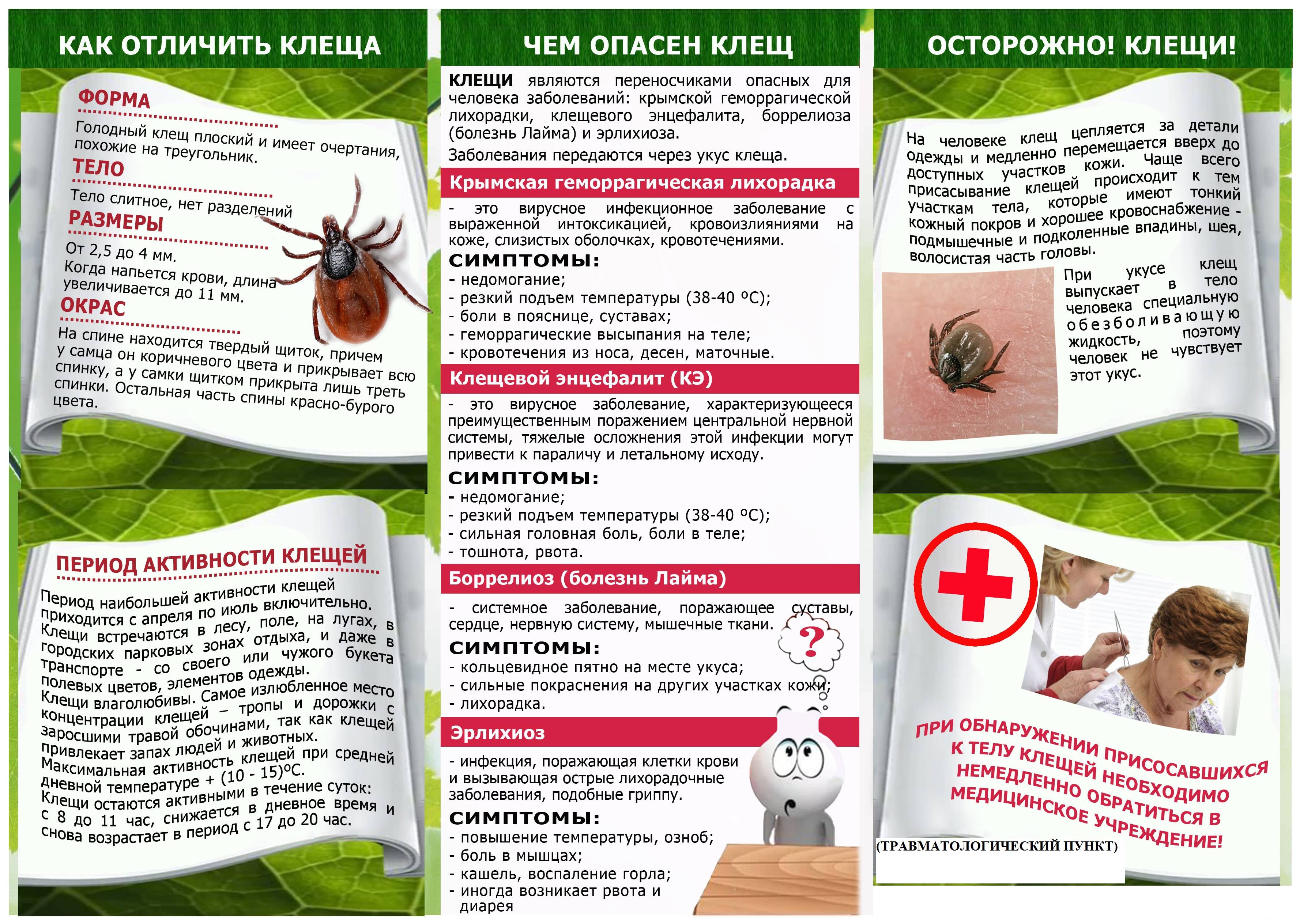 ostorozhno klewi