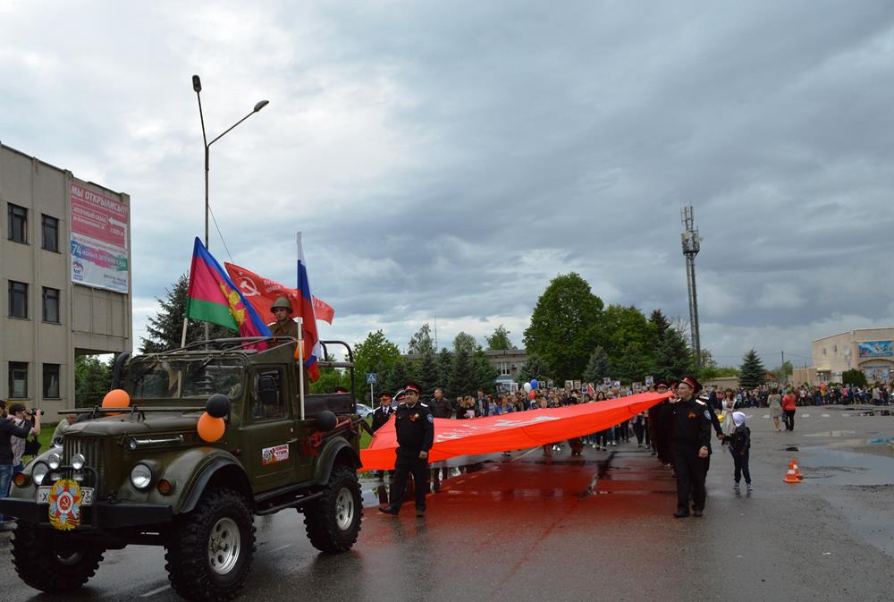 полк 8