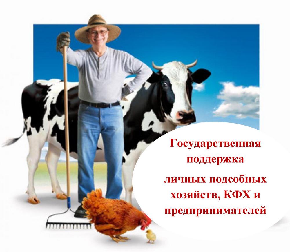 Господдержка