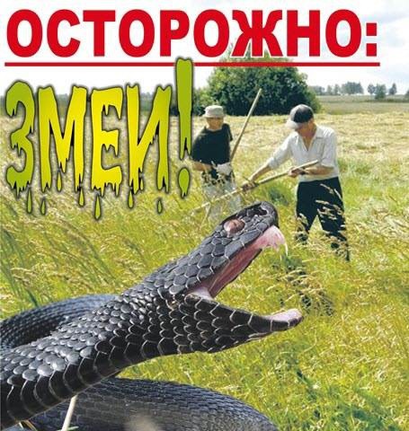 Змеи