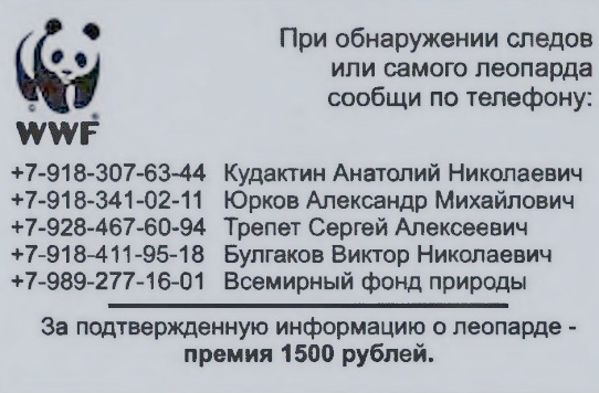 Визитка