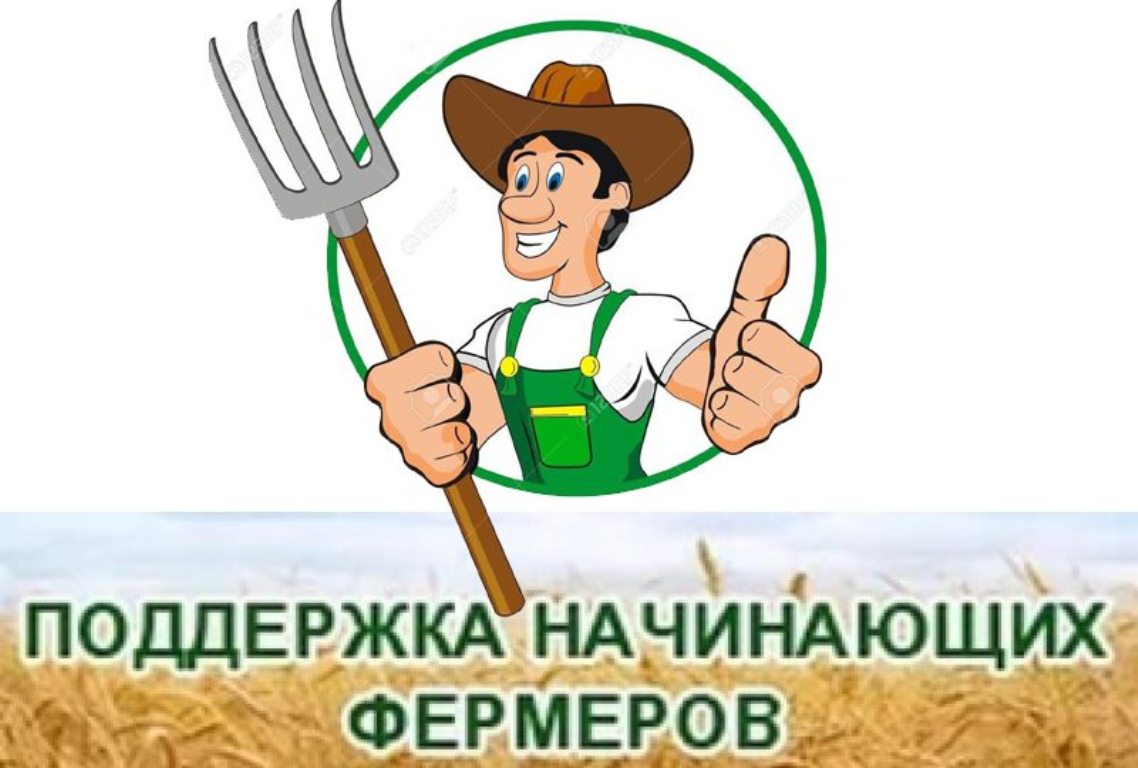фермеры поддержка