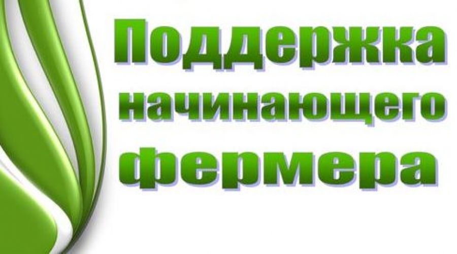 Фермер Поддержка