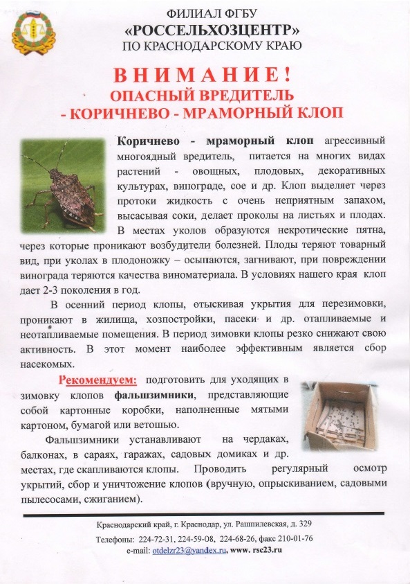 111цц