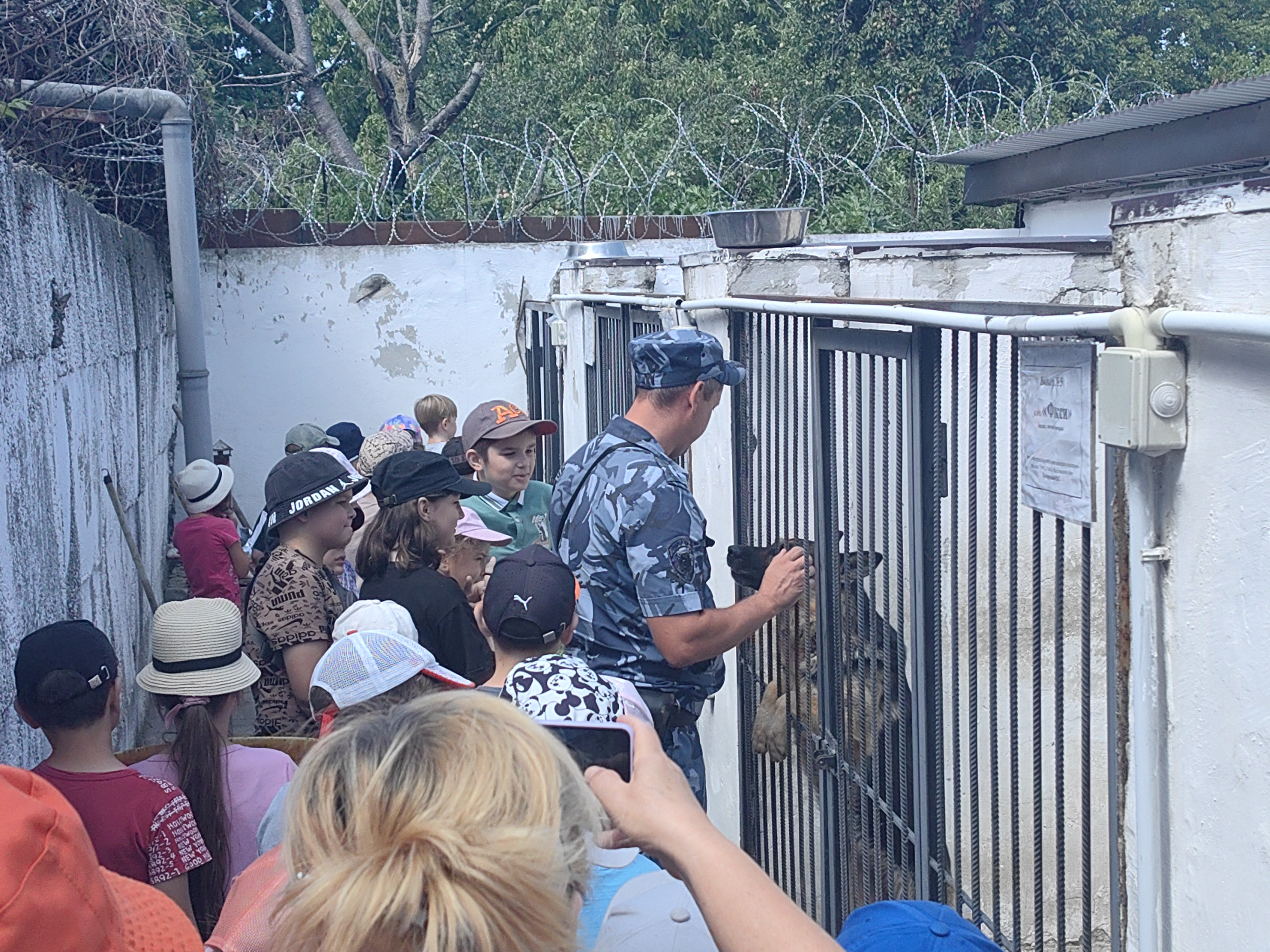 IMG 20240702 100411