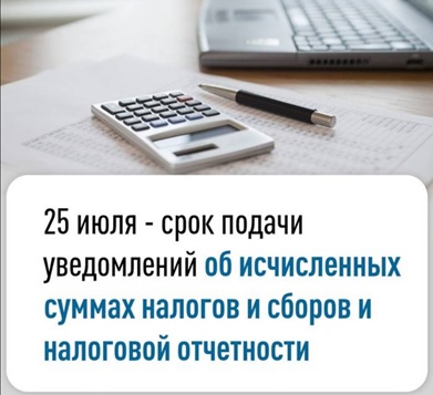 отчетность