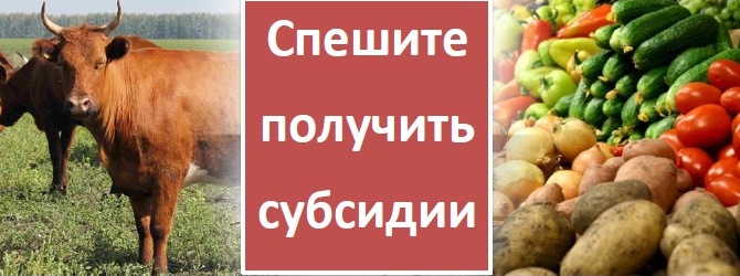 Субсидии