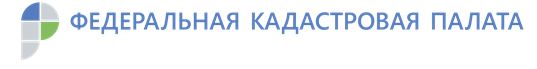 Снимок